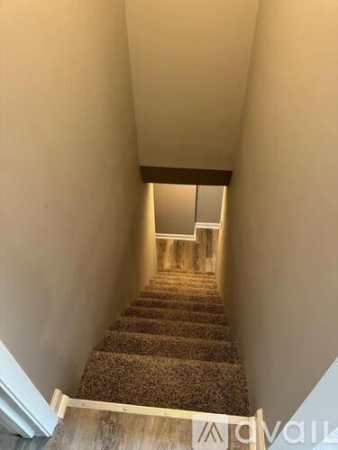 A staircase with a carpeted runner and wooden steps leading to a landing with a window.