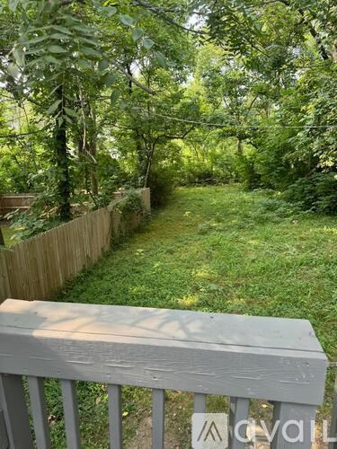 A wooden fence and bench overlook a green, leafy backyard.