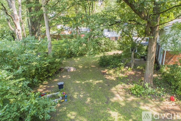 A backyard with a tree, bushes, and a swing set.