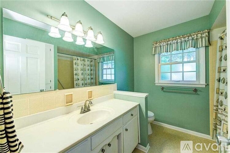A bathroom with a white sink and a mirror above it.