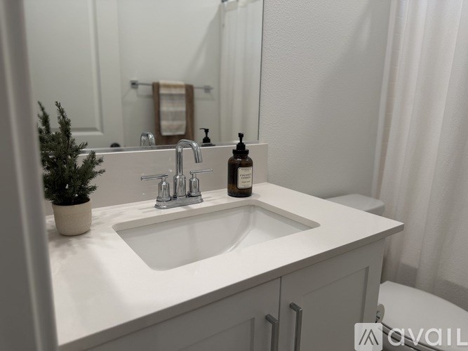 A white sink with a silver faucet and a small plant on the counter.