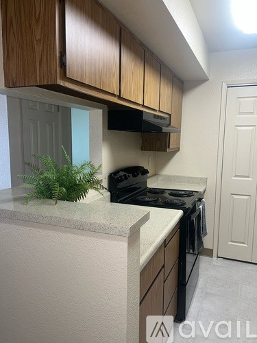 A kitchen with wooden cabinets and a stove top oven.