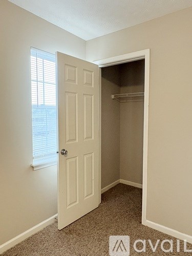 A white door is open to a small closet.