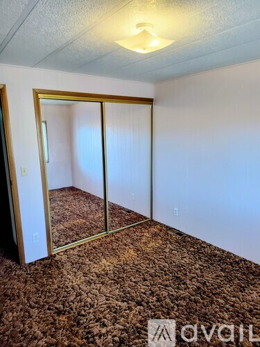 A room with a carpeted floor and a mirror on the wall.