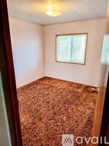 A room with a brown carpet and a window.