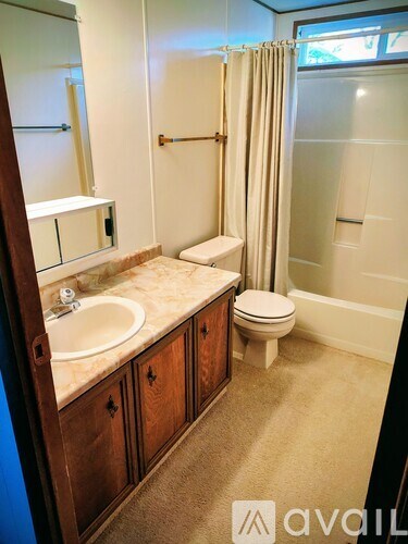 A bathroom with a sink, toilet and shower.