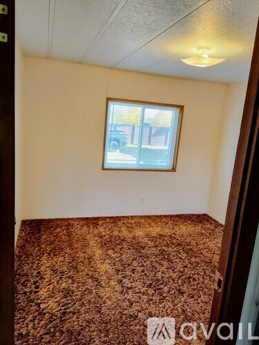 A room with a carpeted floor and a window.