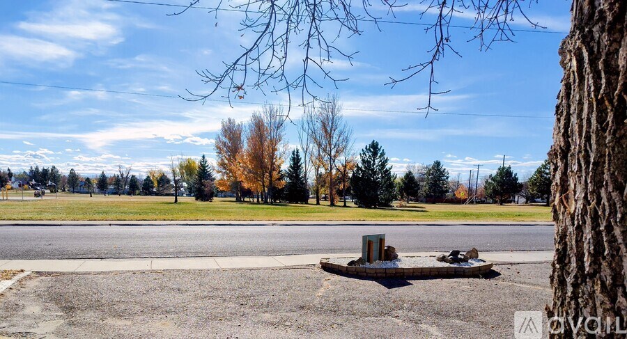 A tree stands next to a road with a small memorial in the middle.