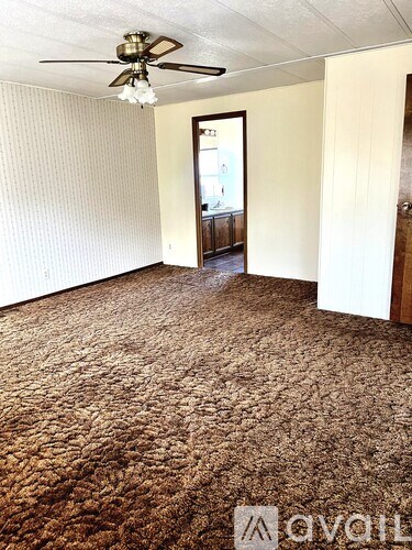A room with a brown carpet and a ceiling fan.