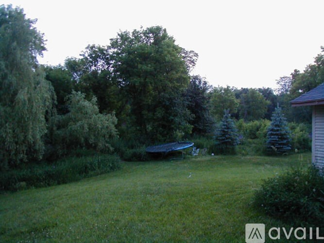 A backyard with a swing set and trees.