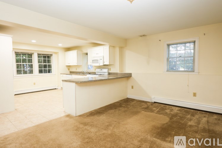 A kitchen area with a counter and cabinets.