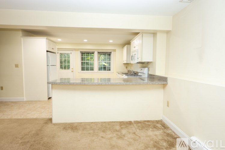 A kitchen with a counter and cabinets.