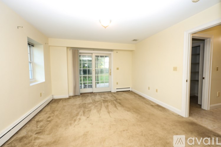 A room with beige walls and carpeting, a window, and a door.