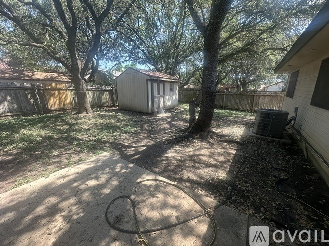A backyard with a shed and trees.