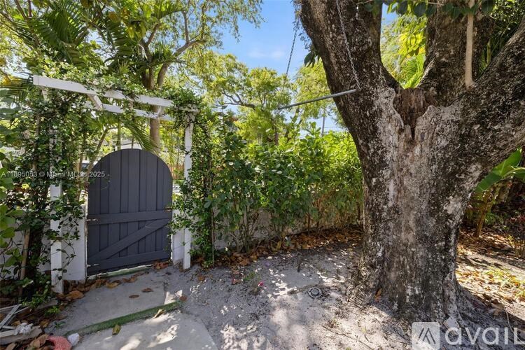A large tree is in the foreground of a sunny yard with a gate and a pergola.