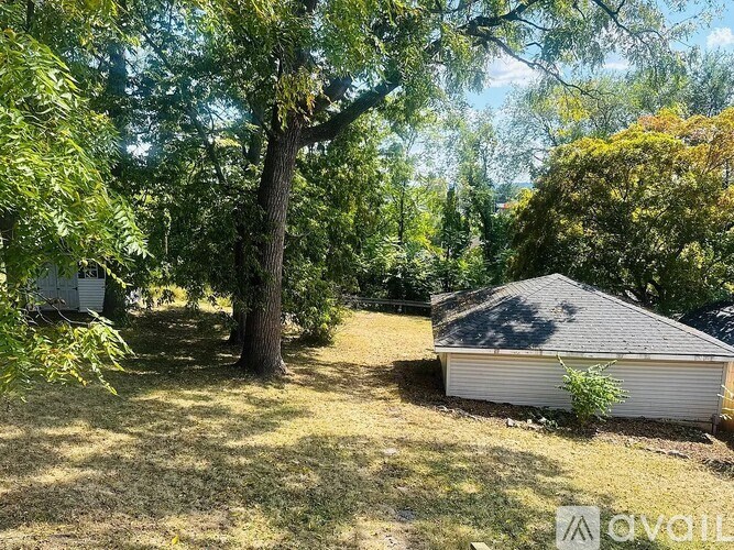 A backyard with a tree and a shed.