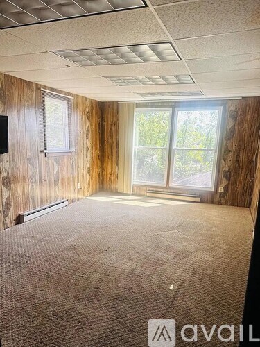 A room with wooden walls and a carpeted floor.