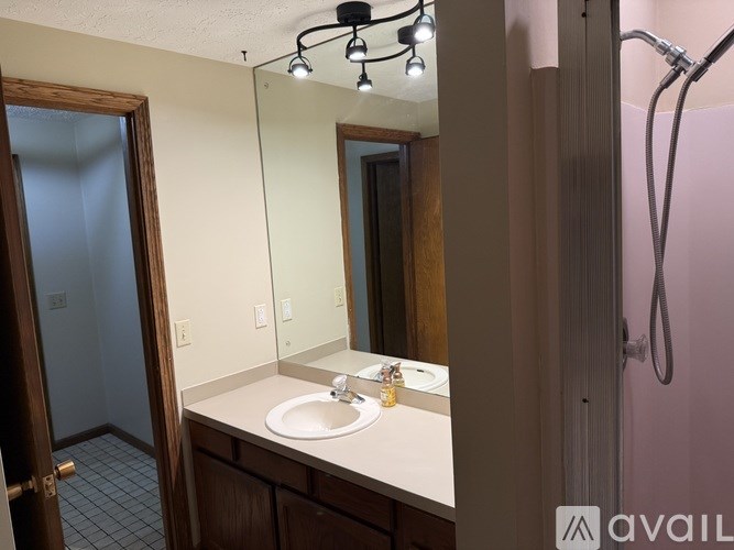 A bathroom with a sink, mirror, and shower.