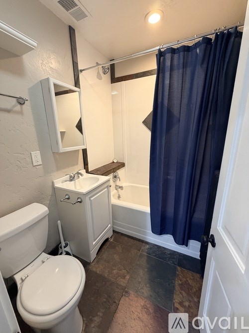 A bathroom with a toilet, sink, and shower curtain.