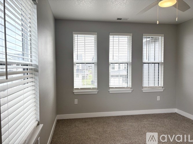 A room with three windows and a carpeted floor.