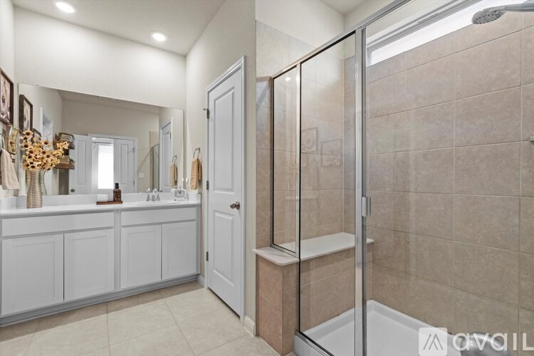 A bathroom with a walk-in shower and a vanity with a mirror.