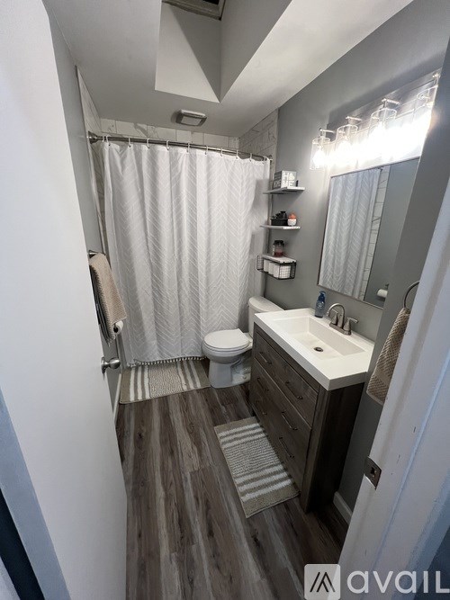 A bathroom with a toilet, sink, and shower curtain.