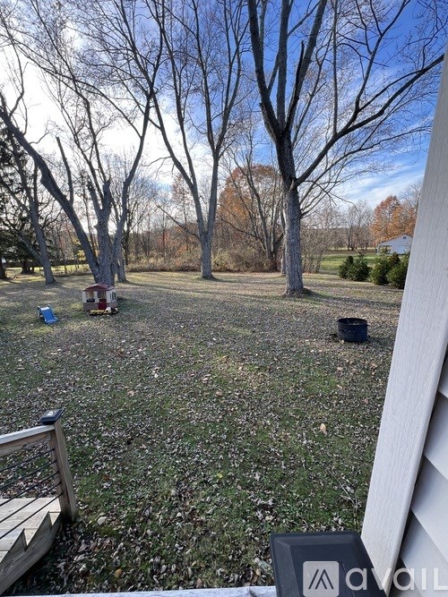 A yard with a lot of leaves on the ground.