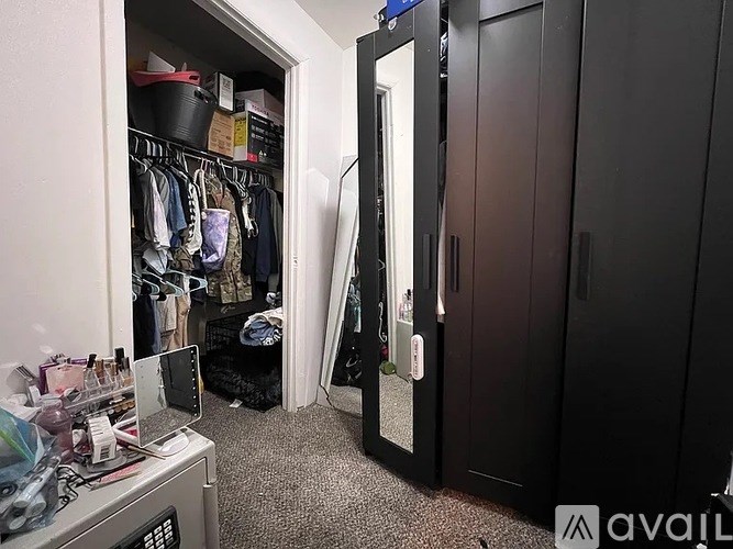 A small closet with a white door and a black wardrobe.