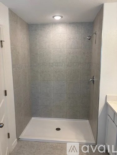 A bathroom with a walk-in shower and a white door.
