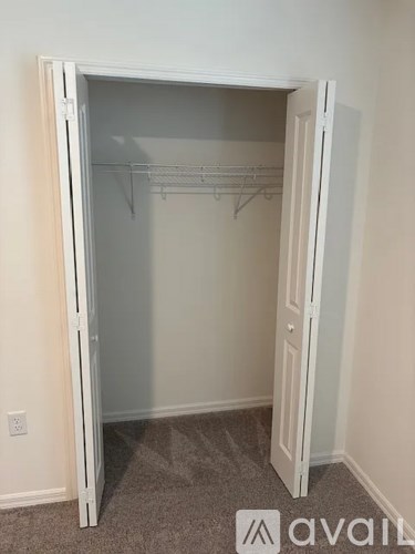 A white closet with a carpeted floor and a white door.