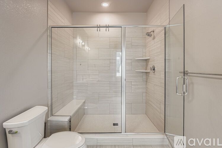 A bathroom with a walk-in shower and a toilet.