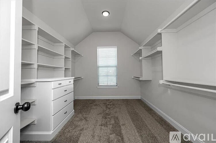 A white walk-in closet with a carpeted floor and a window with blinds.