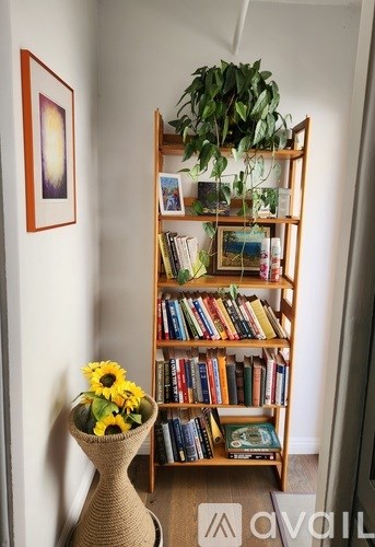A tall bookshelf filled with books and a potted plant on top.