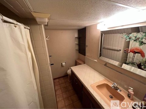 A bathroom with a sink, mirror, and shower.