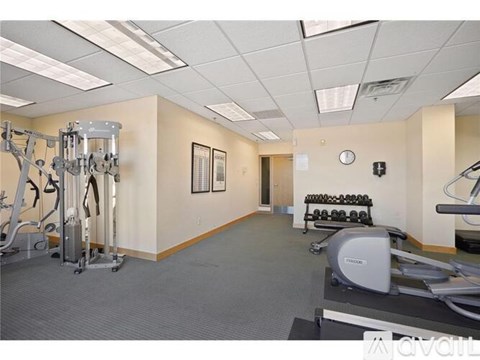A gym with a variety of equipment including a treadmill, weights, and a bench press.