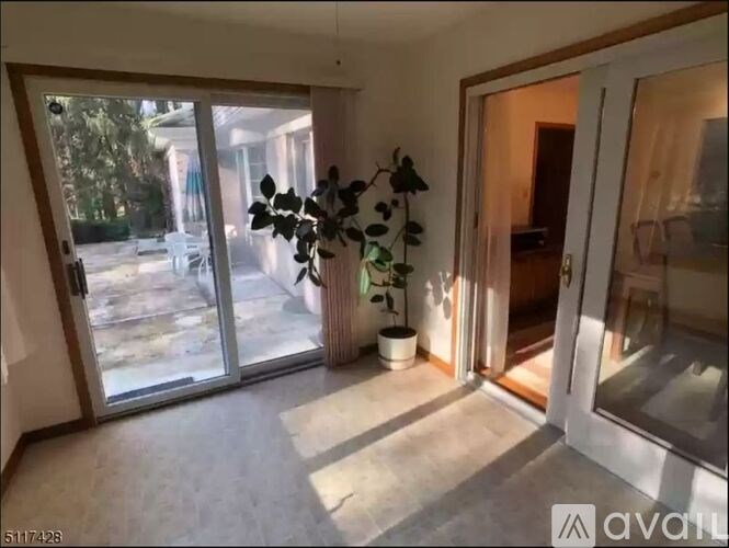 A room with a plant in a white pot and a glass door leading outside.