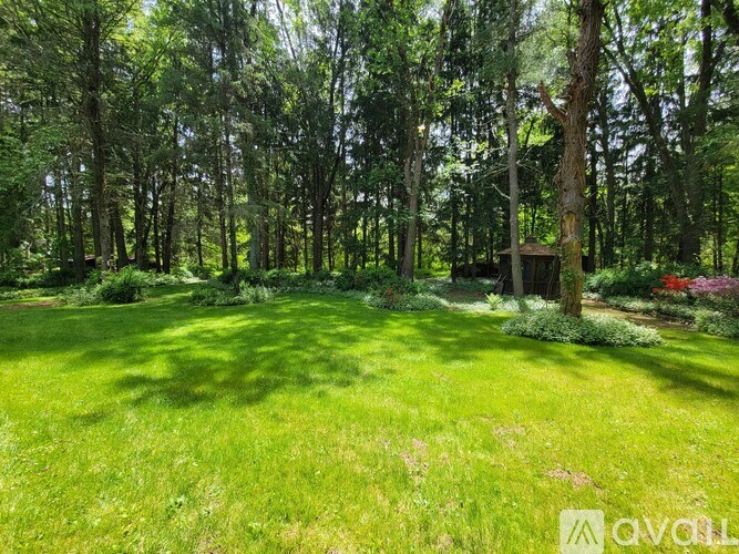 A lush green forest with a clearing in the middle.