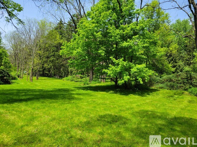 A grassy field with trees in the background.