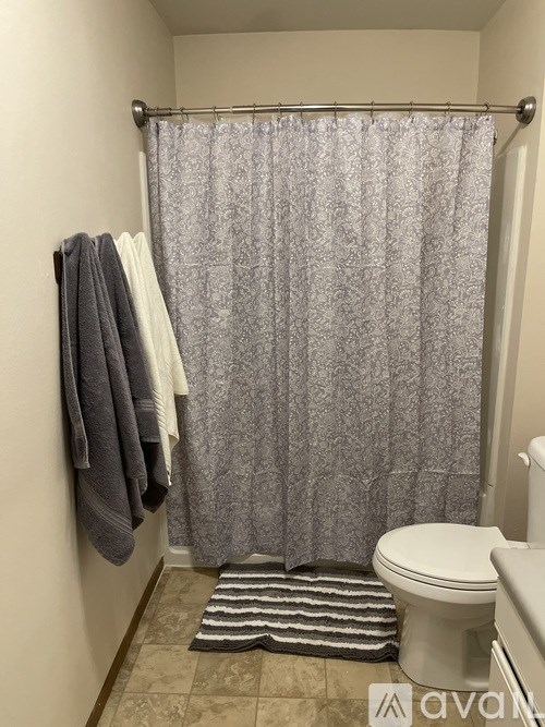A bathroom with a toilet, a shower curtain, and a striped rug.