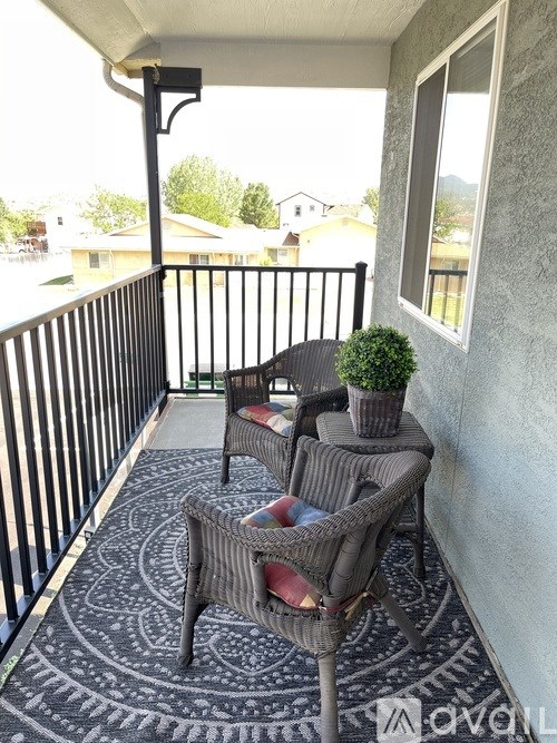 A patio with a table and chairs and a potted plant.