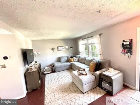 A living room with a grey couch and a patterned rug.