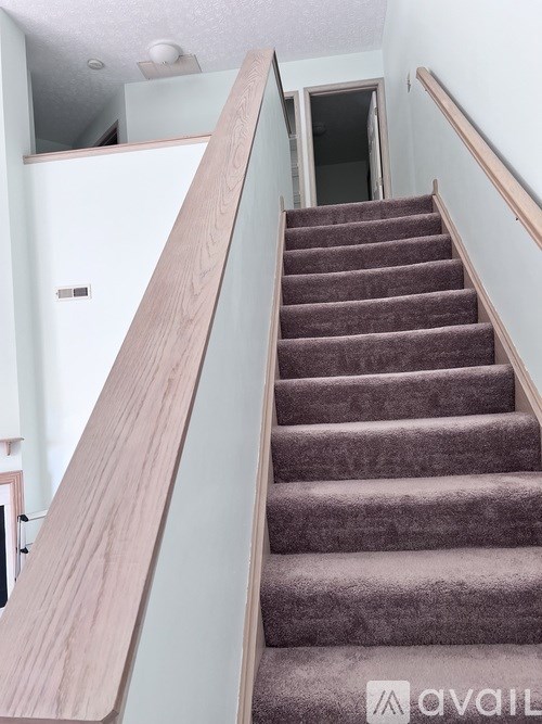 A staircase with a wooden handrail and carpeted steps leading to a doorway.