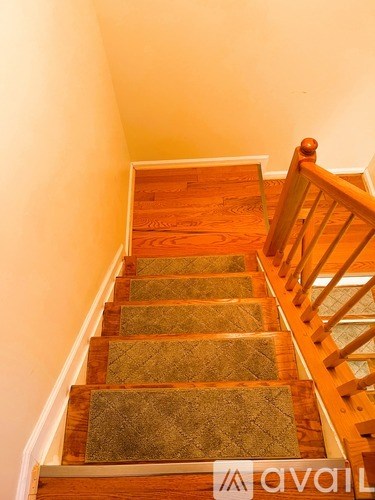 A wooden staircase with a carpeted runner.