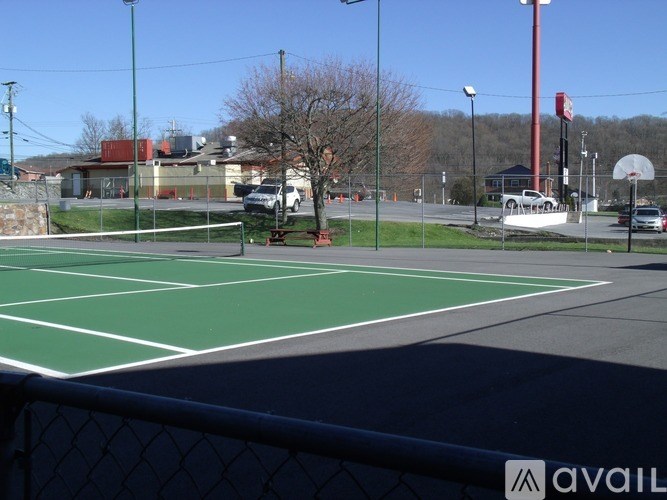 A basketball court with a green surface and white lines, surrounded by a chain-link fence.