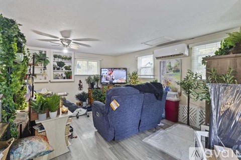 A living room with a blue couch and a ceiling fan.