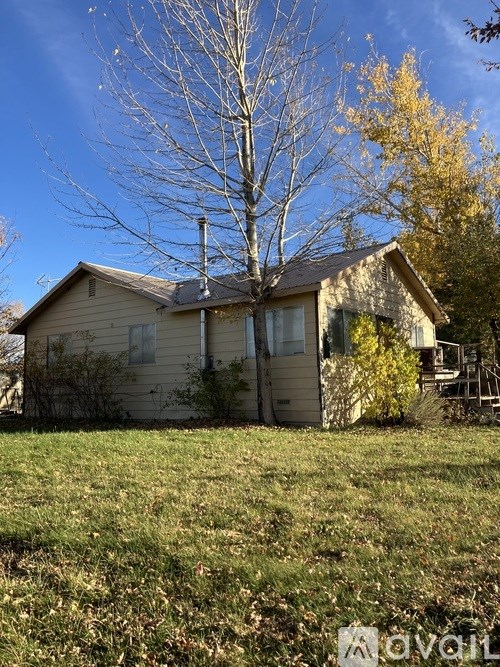 A house with a tree in front of it.