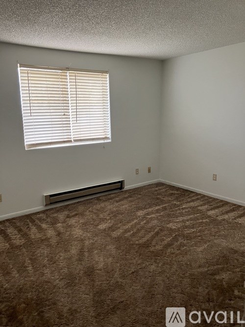 A room with a carpeted floor and a window with blinds.