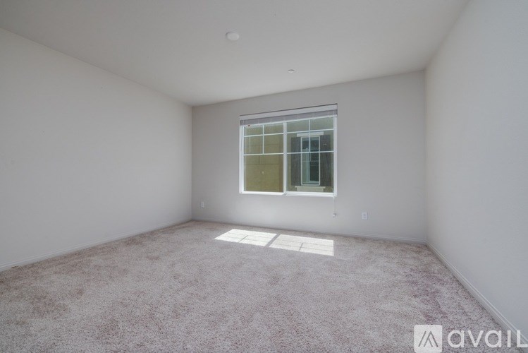 A room with a carpeted floor and a window.