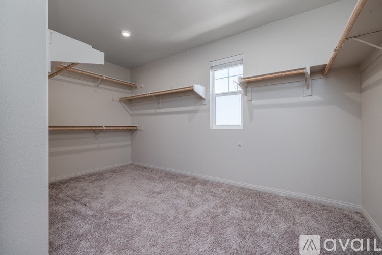 Empty room with a window and a carpeted floor.