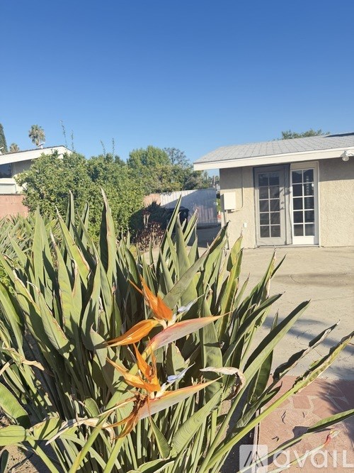 A house with a grey roof and a white door is behind some green plants.
